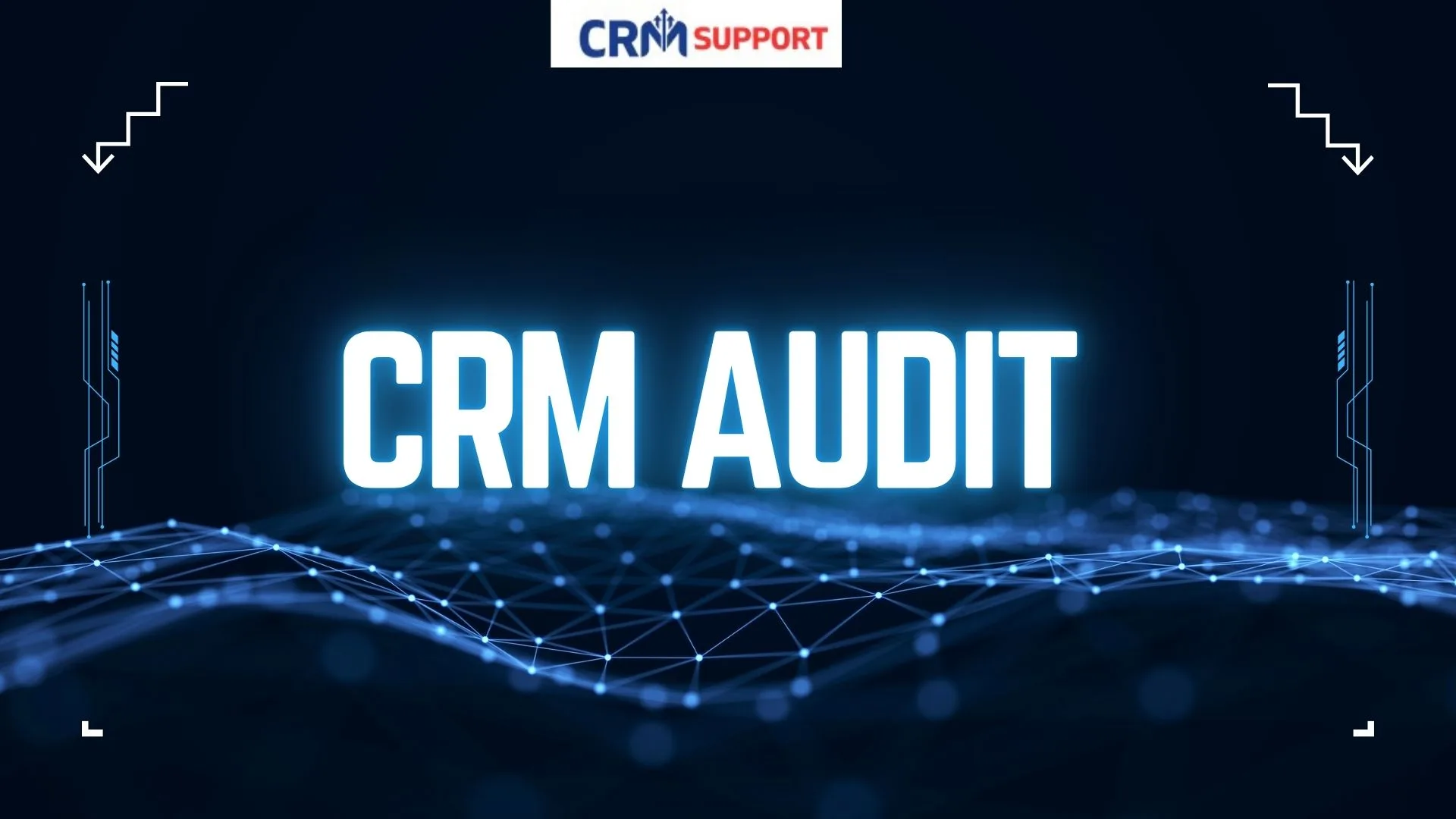 CRM Audit Services